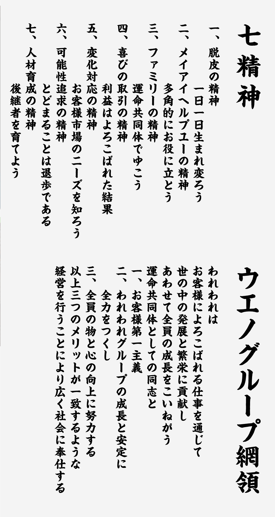 七精神一、脱皮の精神・一日一日生まれ変ろう二、メイアイヘルプユーの精神・多角的にお役に立とう三、ファミリーの精神・運命共同体でゆこう四、喜びの取引の精神・利益はよろこばれた結果五、変化対応の精神・お客様市場のニーズを知ろう六、可能性追求の精神・とどまることは退歩である七、人材育成の精神・後継者を育てよう・ウエノグループ網領・われわれはお客様によろこばれる仕事を通じて世の中の発展と繁栄に貢献しあわせて全員の成長をこいねがう運命共同体としての同志と一、お客様第一主義二、われわれグループの成長と安定に全力をつくし三、全員の物と心の向上に努力する以上三つのメリットが一致するような経営を行うことにより広く社会に奉仕する